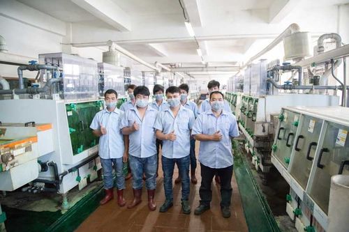 Successful Collaboration Between BYD and XinHaiSen on VCM Spring Etching Processing